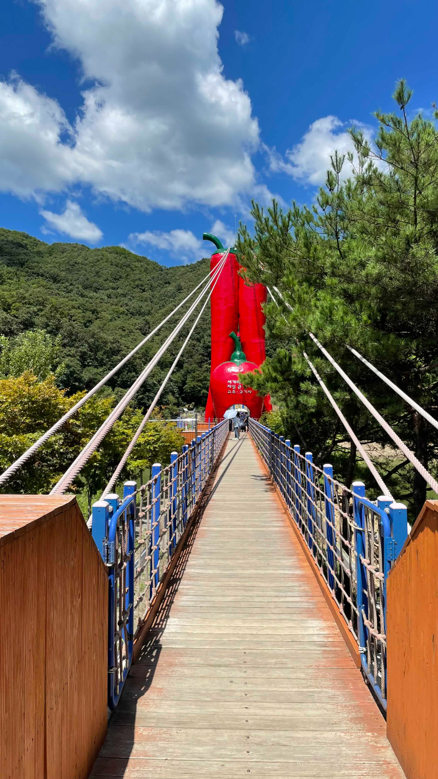 청양 천장호 출렁다리