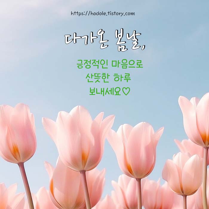 예쁜 인사말 이미지