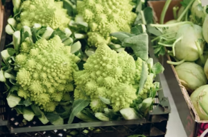 요산 수치 높다면 필독! 통풍 발작 예방을 위한 봄철 금기 음식과 안전한 대체 식단