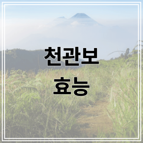 천관보 효능