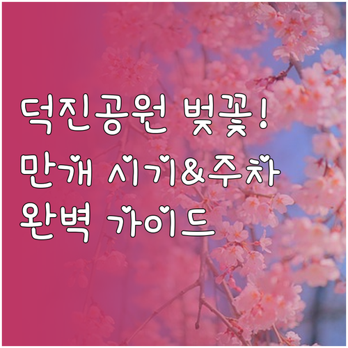 전주 덕진공원 벚꽃 만개 시기 주차장..