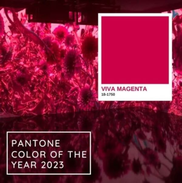 PANTONE COLOR OF THE YEAR 2023 "VIVA MAGENTA"