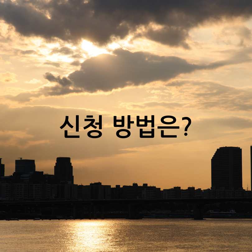 한강야경투어_봄