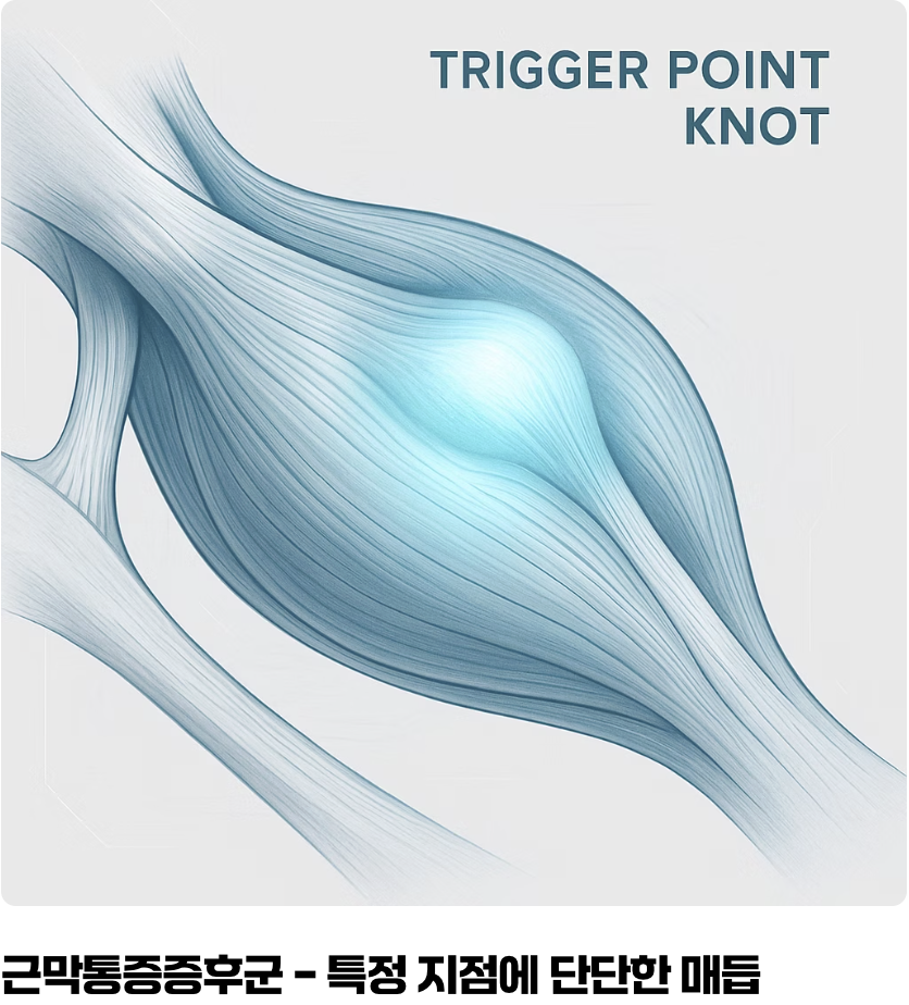 그냥 &lsquo;담&rsquo;과는 다른 신호