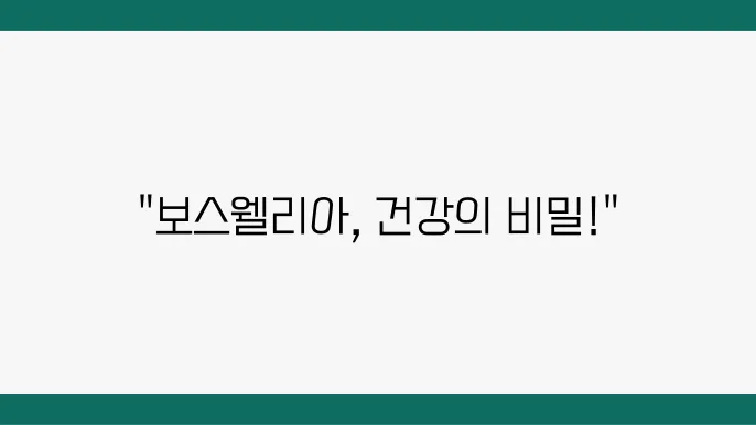 보스웰리아의 효능과 효과 섭취 방법 났용은