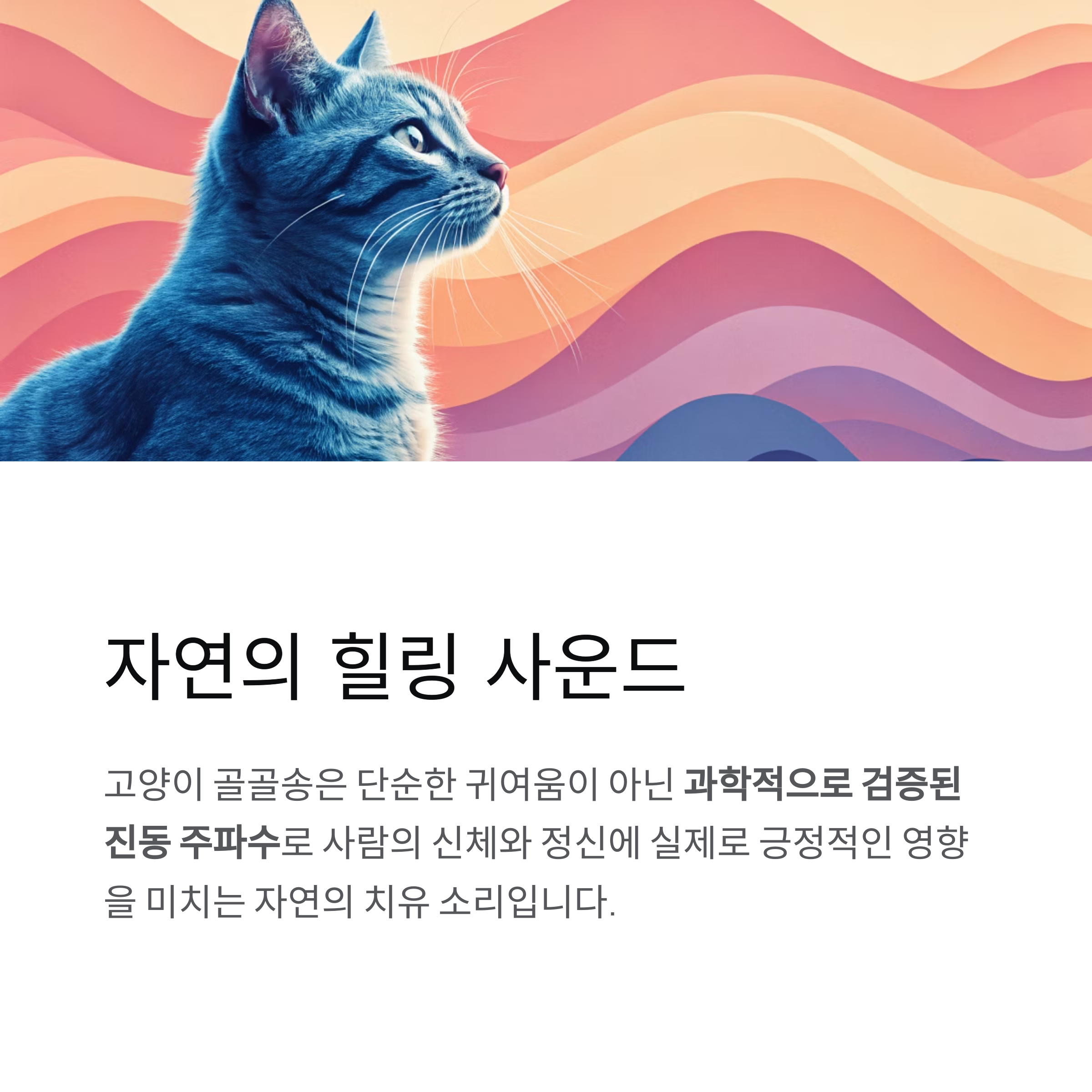 자연의 힐링 사운드