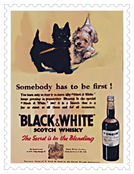 블랙 앤 화이트 스카치 위스키 브랜드