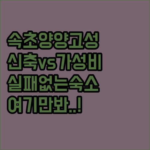 속초 양양 고성 숙소 추천 신축 펜션..
