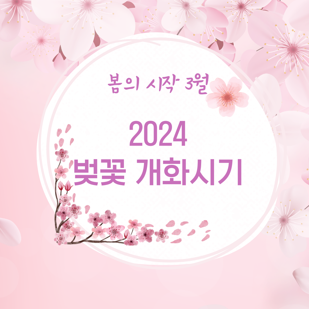 2024 벚꽃 개화시기