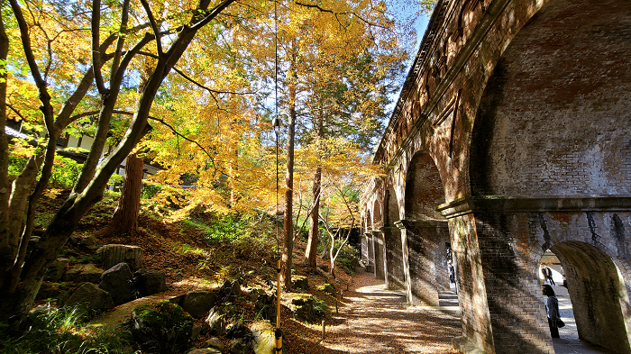 일본 난젠지의 가을 풍경