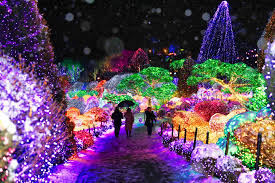 아침고요수목원 봄꽃 페스타