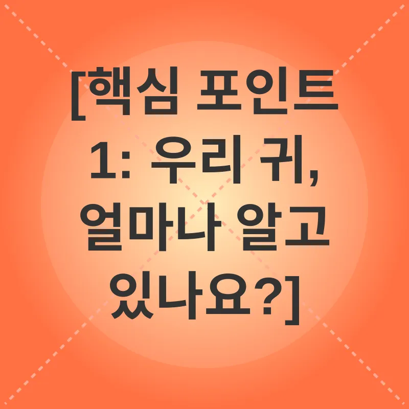 청력 보호_1