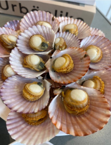 생생정보 홍가리비 석화 생굴 생생현장 가격 및 구매방법