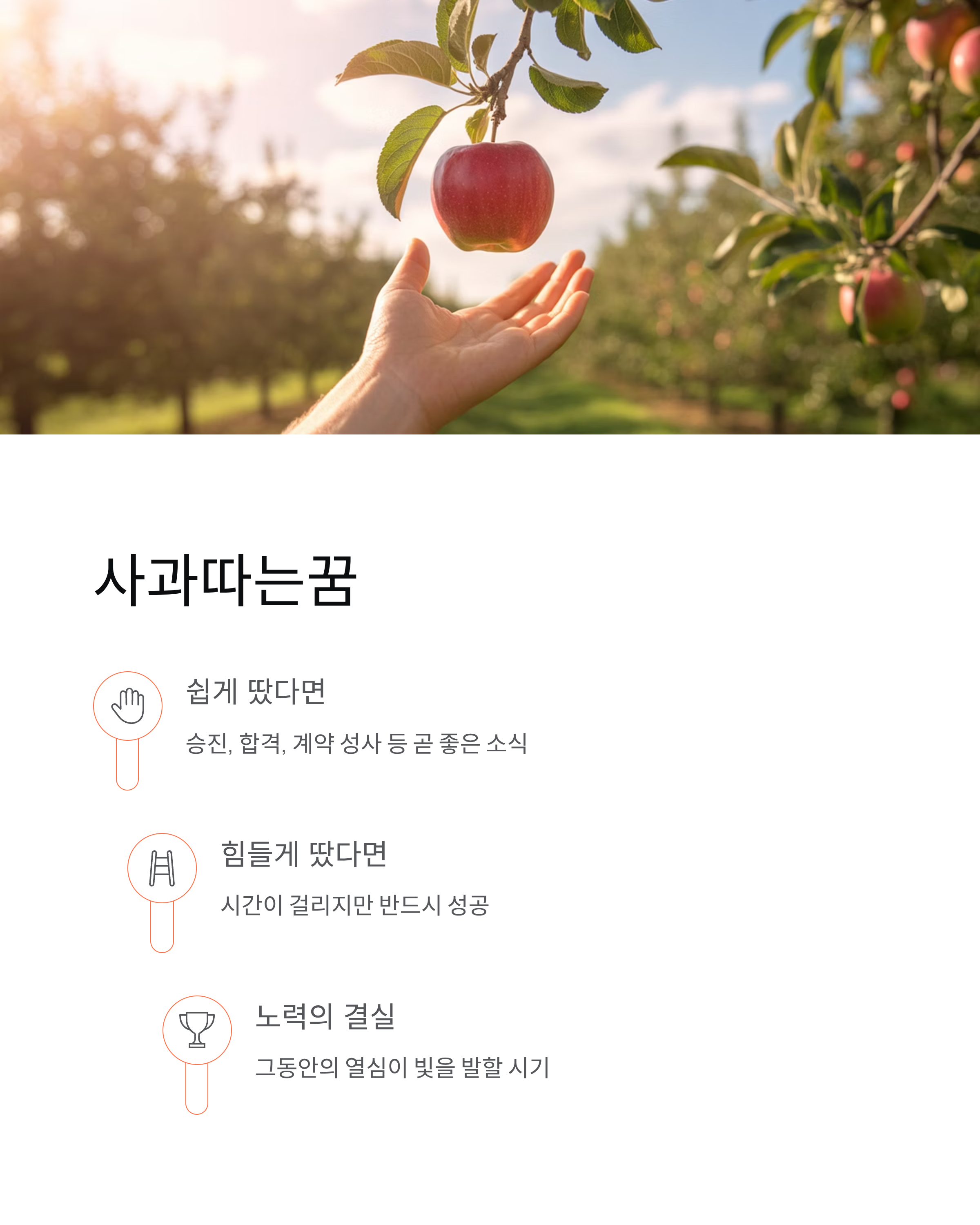 사과꿈 해몽 ❘ 빨간사과·사과먹는꿈·사과따는꿈 의미 (대박 길몽?)