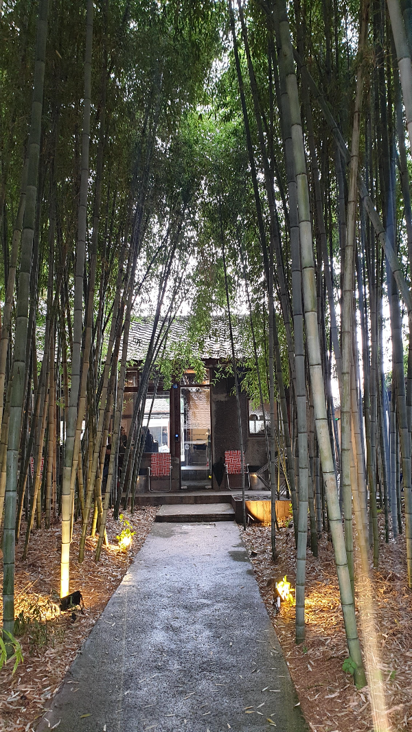 대전 소제동 카페 거리: 대나무가 인상적이었던 카페 '풍류소제'_풍류소제 후문 대나무