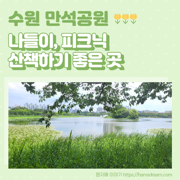 수원 만석공원_나들이, 피크닉, 산책하기 좋은 곳