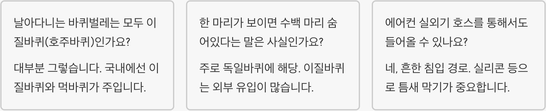 날아다니는 공포! 호주바퀴벌레가 여름밤 창문으로 돌진하는 이유와 차단법