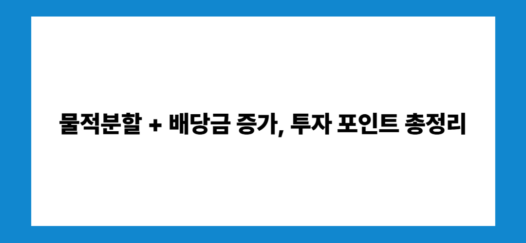 물적분할 + 배당금 증가, 투자 포인트 총정리