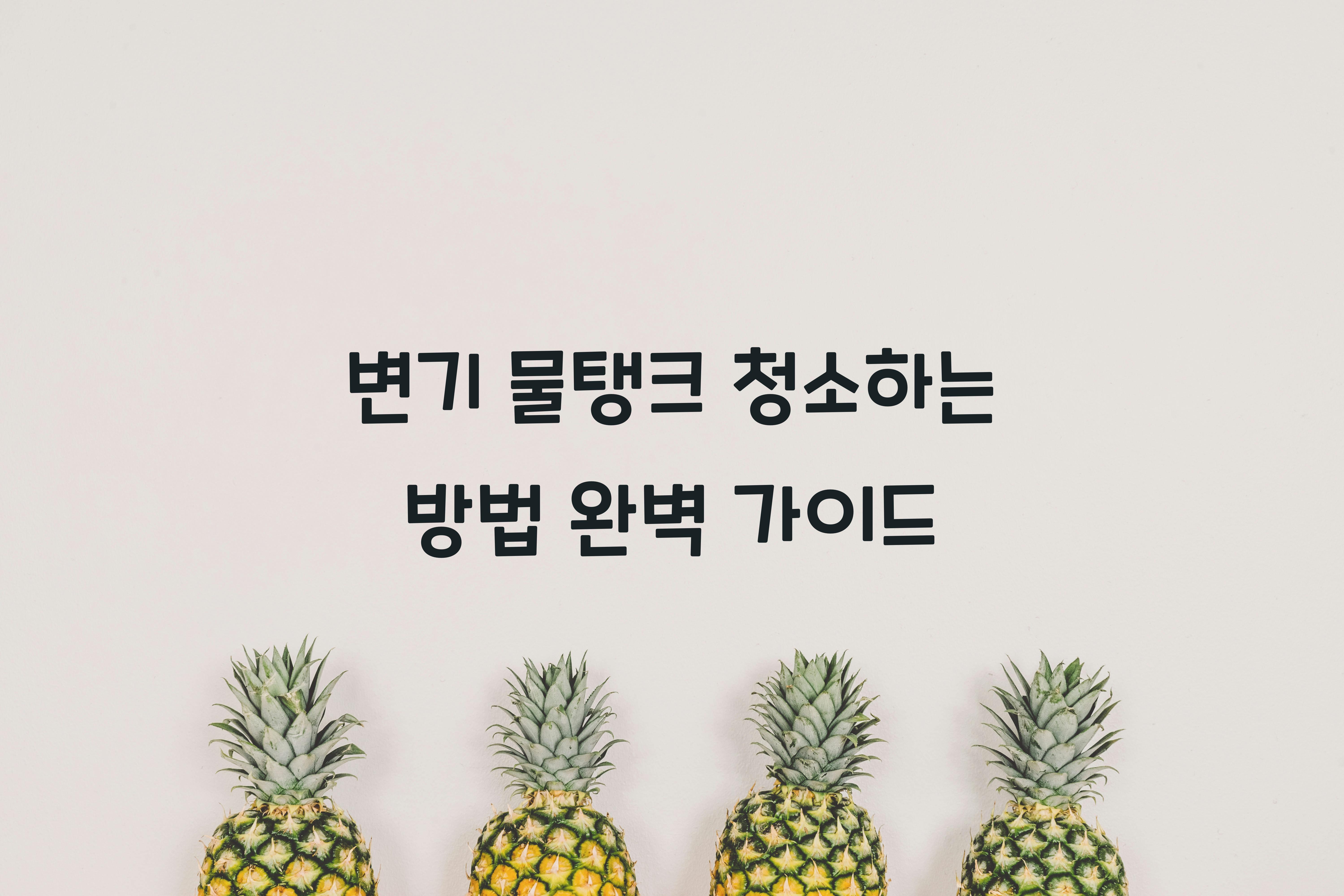 변기 물탱크 청소하는 방법