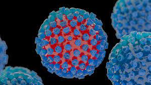 남자 성병 포진 : 헤르페스 2형 바이러스