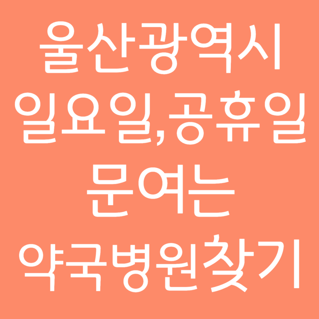 울산광역시 일요일 공휴일 문여는 약국병원 찾기