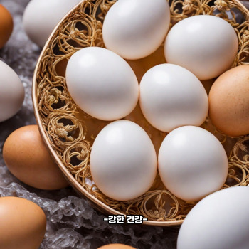 비타민b3가 많은 식품