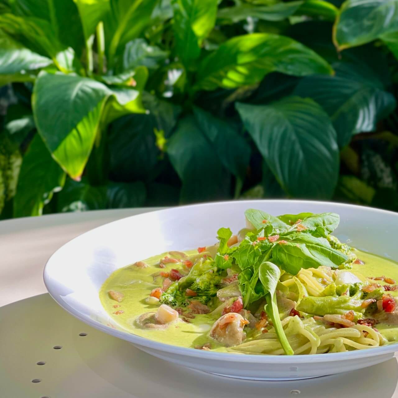 오늘N 소문난 그곳N 파주 식물원 감성 카페 문지리535 파주여행 오늘N2499회