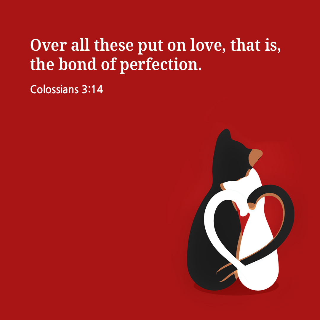 Over all these put on love&#44; that is&#44; the bond of perfection. (Colossians 3:14)