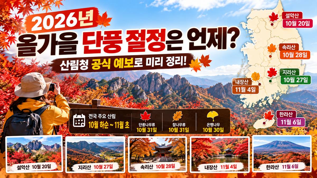 2026년 전국 단풍 절정 시기와 설악산·지리산·속리산·내장산·한라산 단풍 예보 안내 이미지.