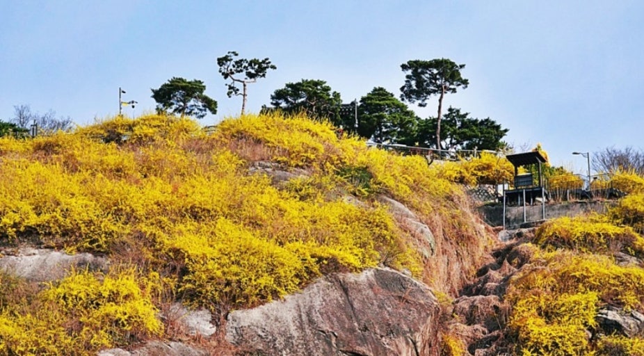 응봉산