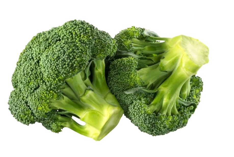 식이섬유가 많은 음식