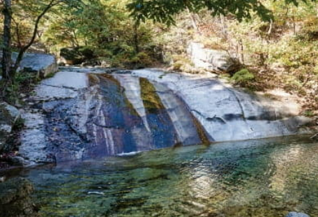 돌과 나무와 함께 어우러진 계곡