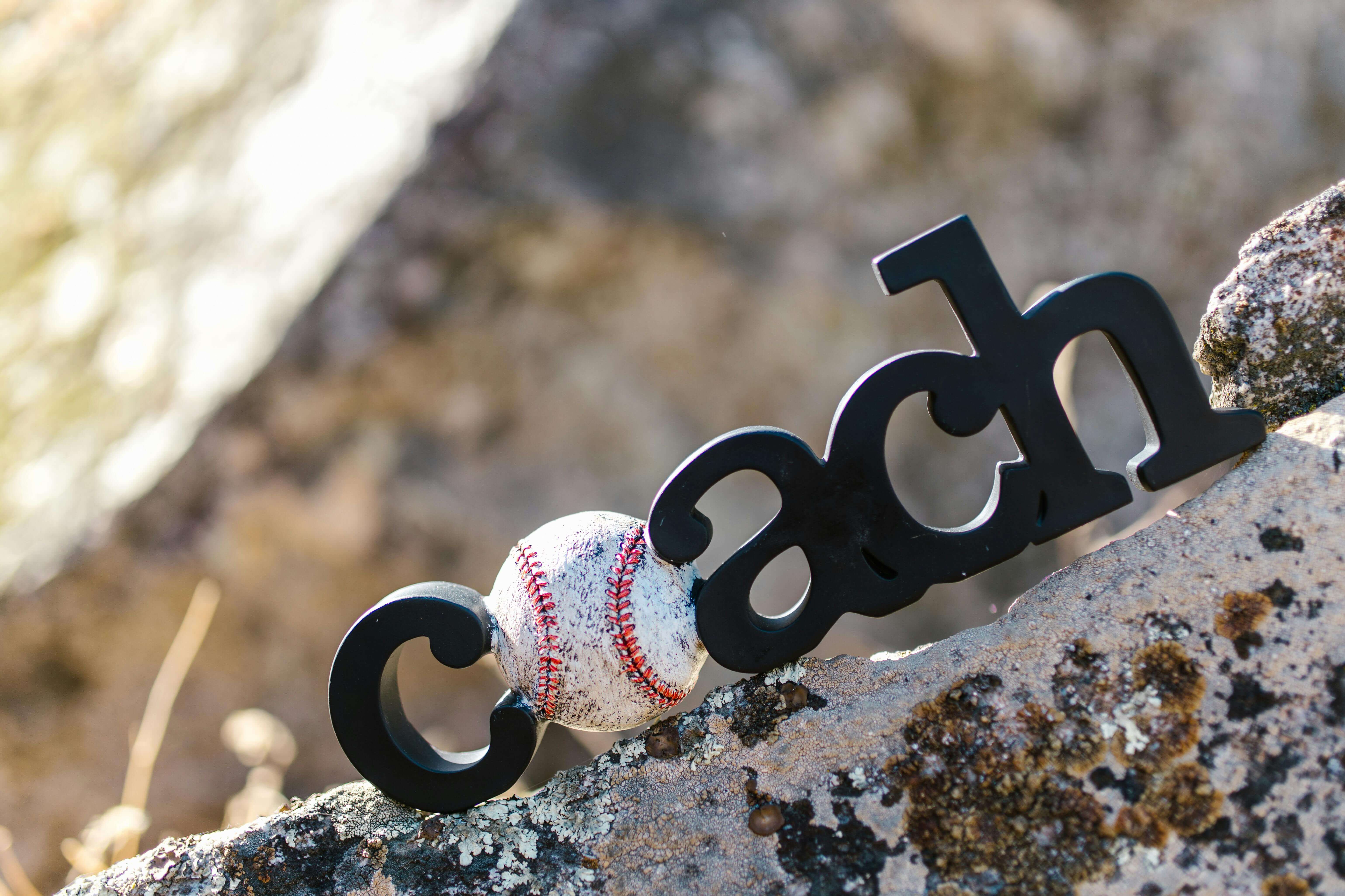 도미니카 올스타 전력 분석 WBC 최강팀 평가