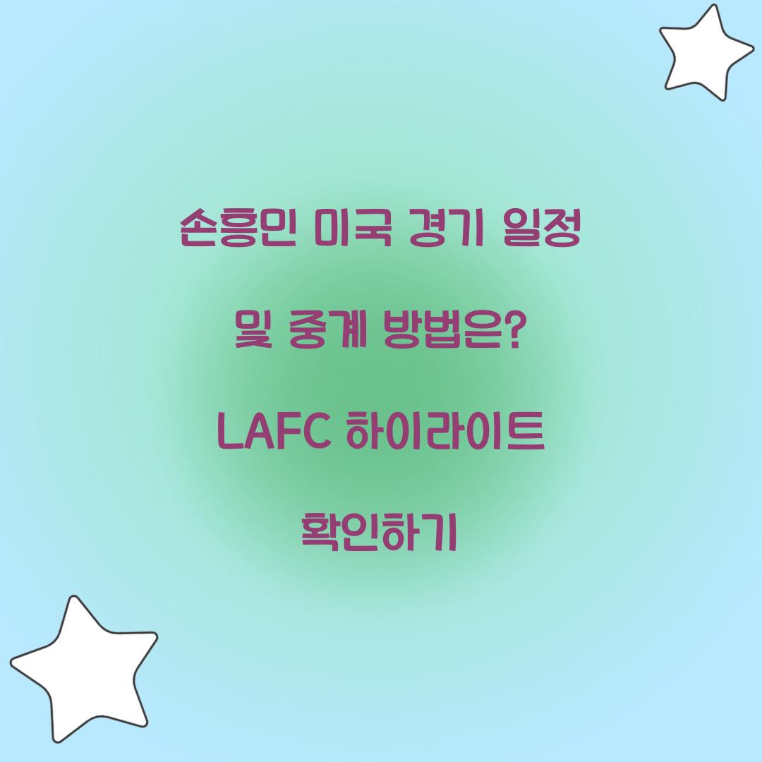 손흥민 미국 경기