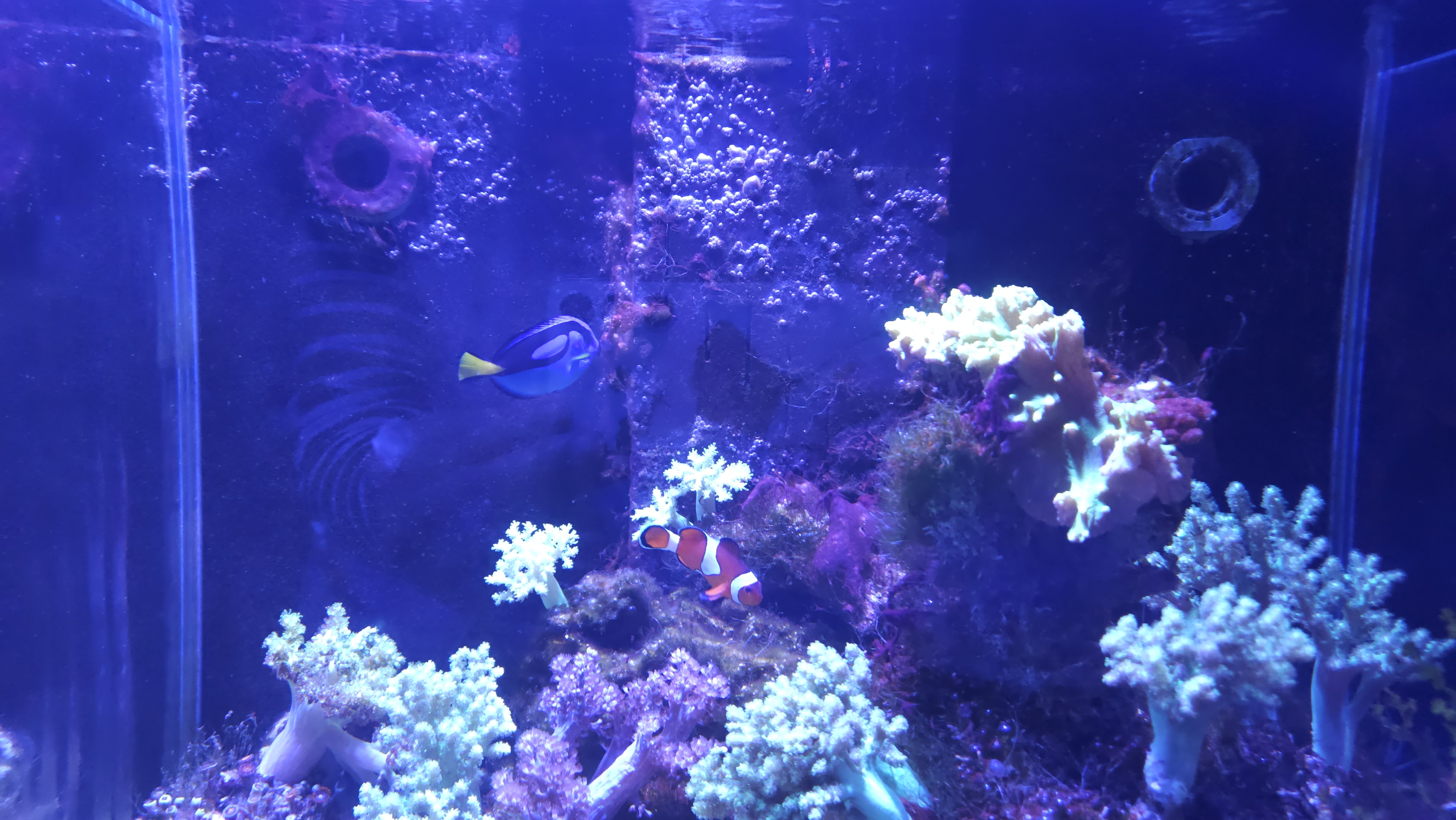 여수 여행 해양수산과학관