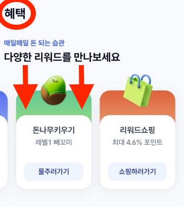 돈나무 키우기 앱테크 화면