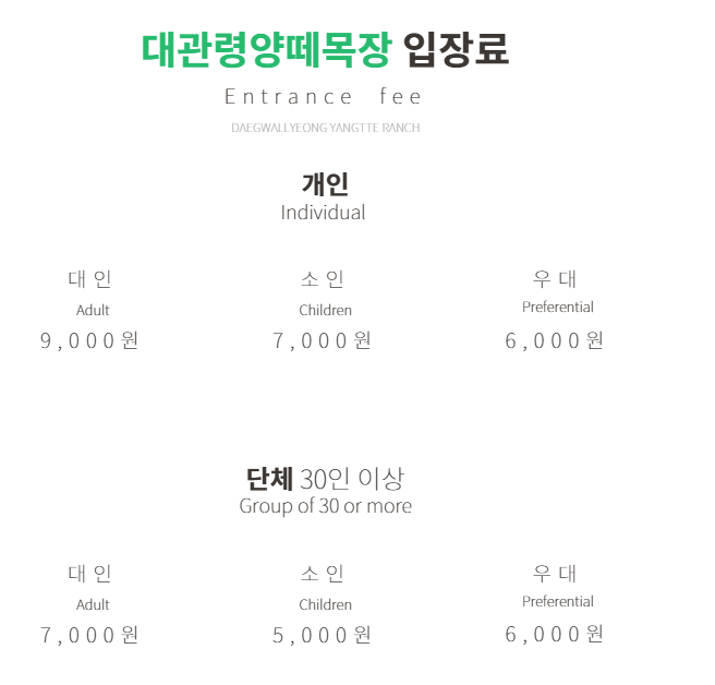 대관령 양떼목장 