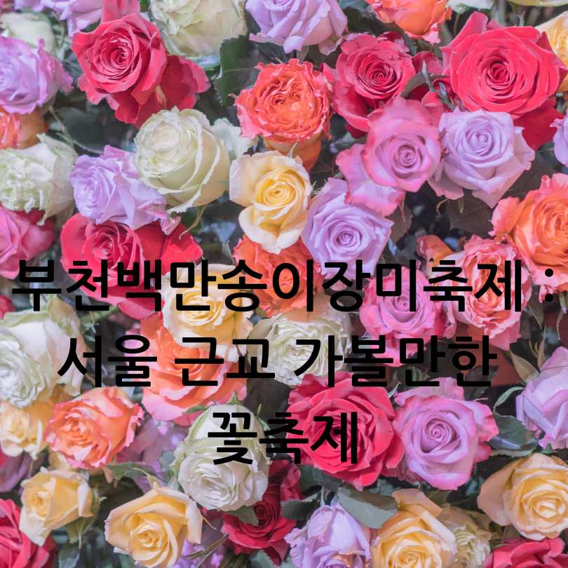 부천백만송이장미축제