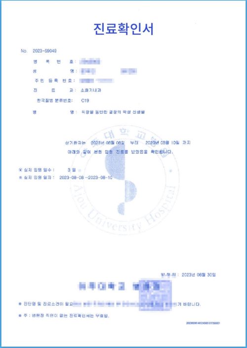 진료 확인서