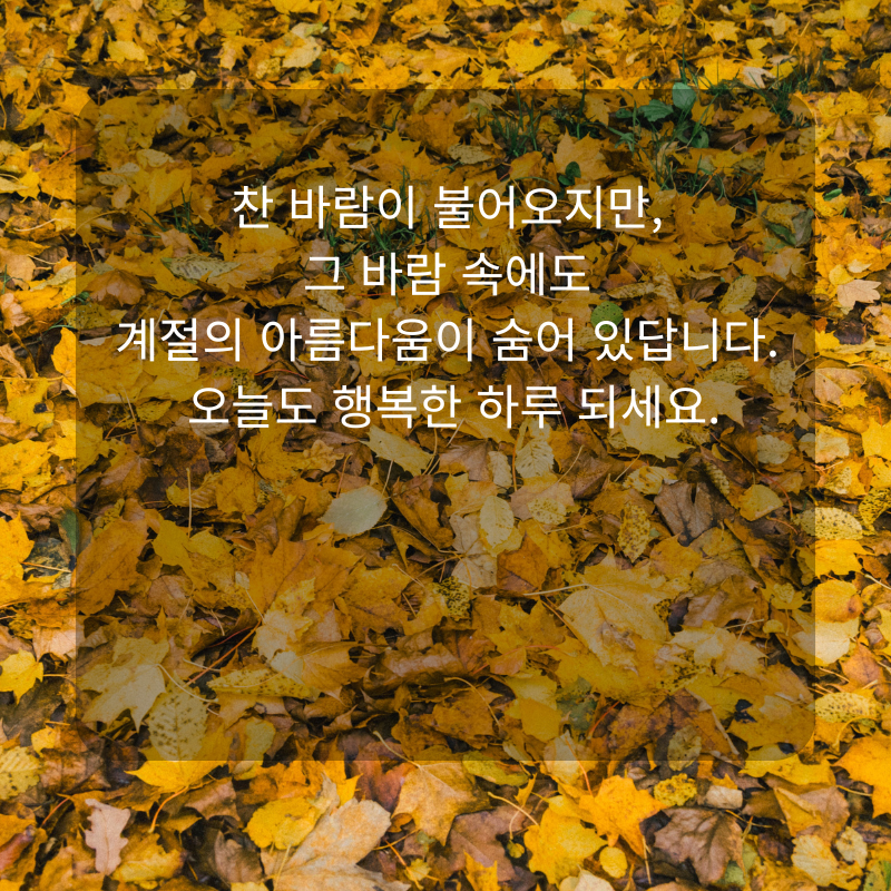 11월 인사말 문구 이미지 가을 겨울 인사글 모음집