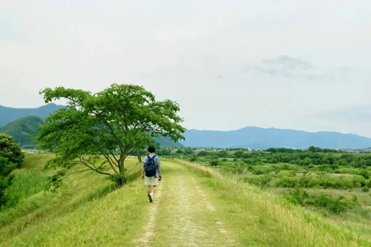 전남 광양 백운산 둘레길