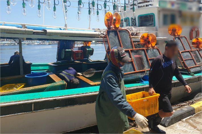 어선에서 오징어를 내리고 있는 어민들