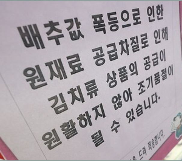기록적인 배추 가격 급등 원인