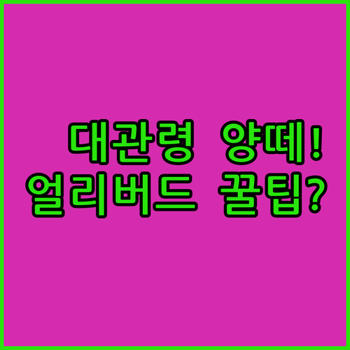 대관령 양떼목장 양 먹이주기 체험 최..