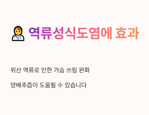 양배추즙 역류성식도염 효과