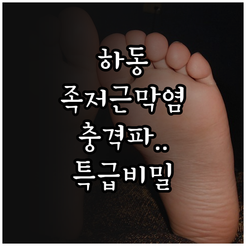 하동군 족저근막염 병원 특징 및 체외..