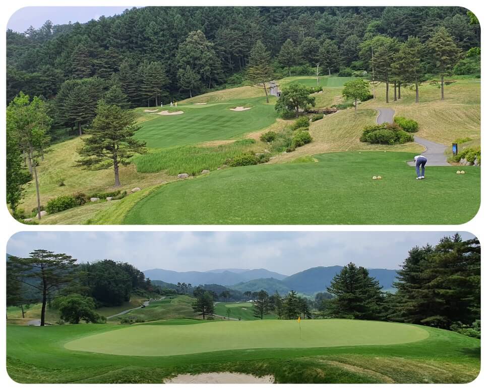 골프장 경험담 홍천 세이지우드cc 사람이 가장 쾌적함을 느끼는 해발 765m에서 경험하는 자연, 골프, 쉼