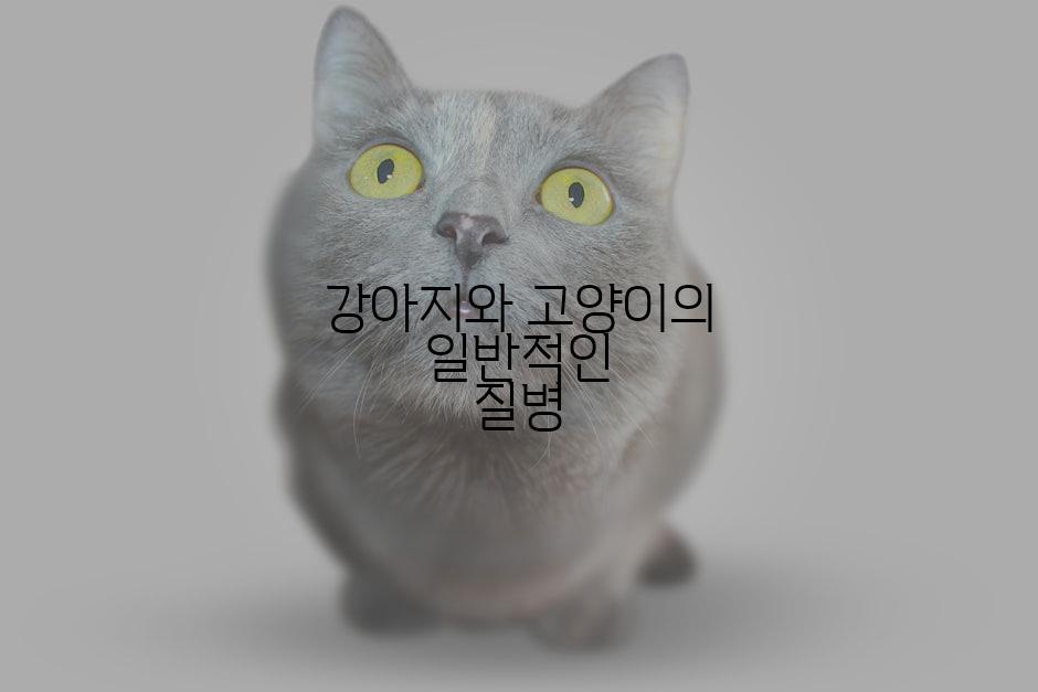 강아지와 고양이의 일반적인 질병