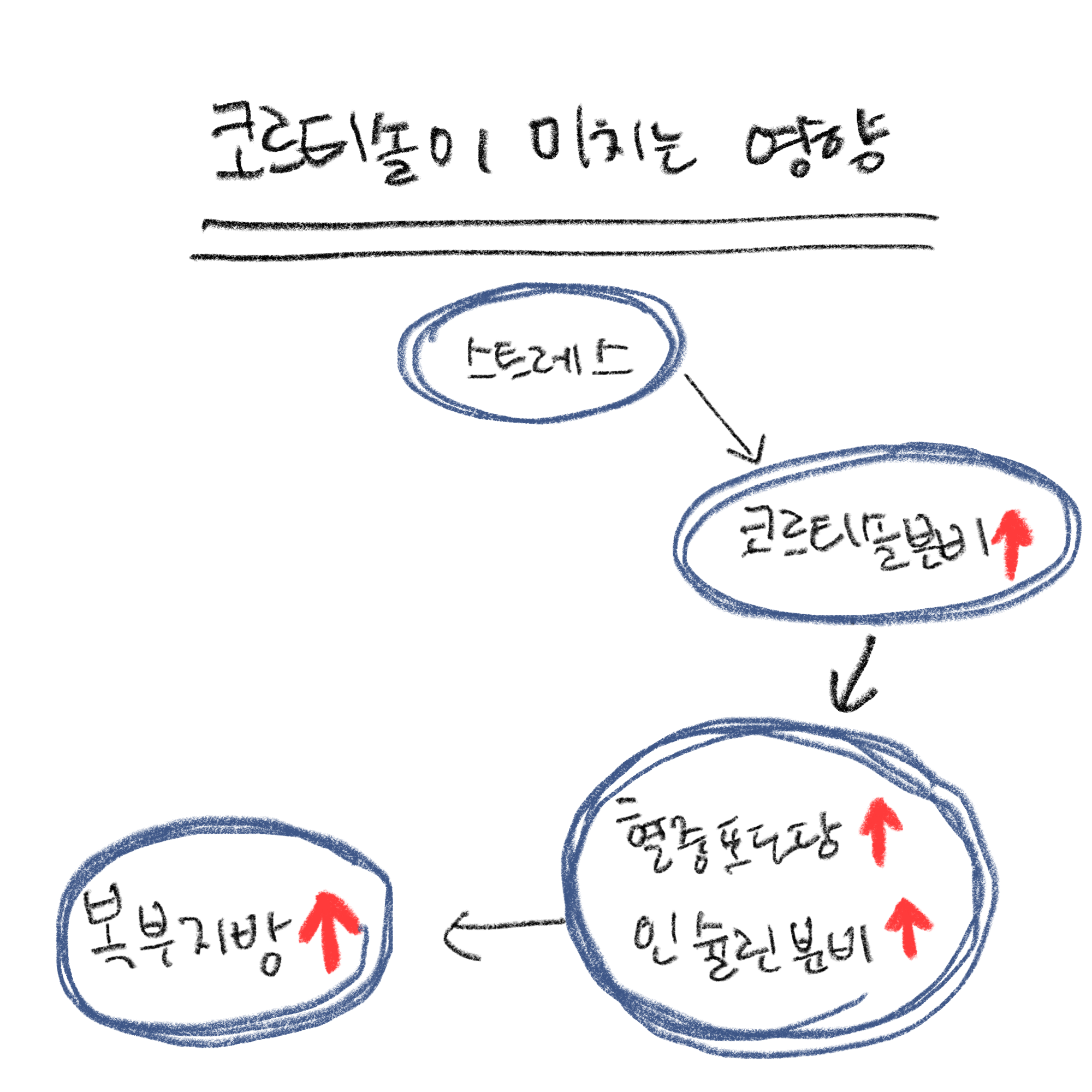 코르티솔과 복부지방의 상관관계 매커니즘