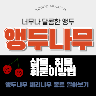 앵두나무-취목-종류-삽목-휘묻이